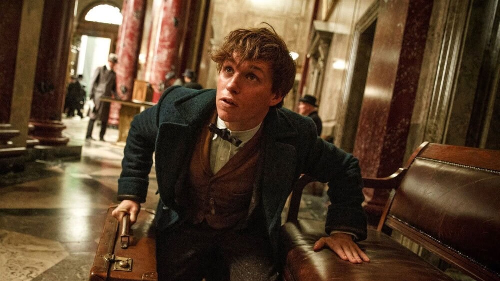 《怪獸與牠們的產地/Fantastic Beasts And Where To Find Them》電影劇照,紐特‧斯卡曼德。