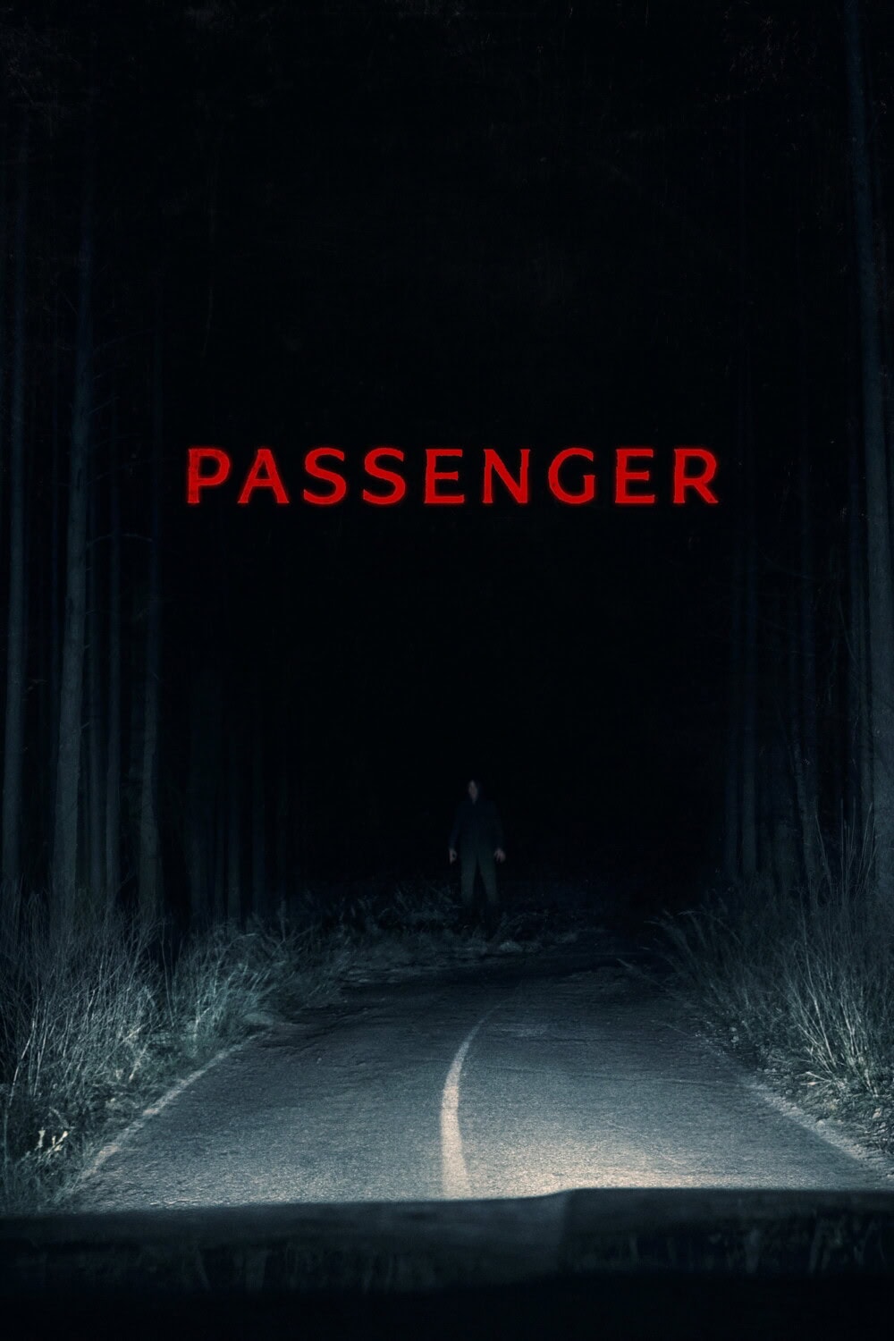 《乘嚇》Passenger 電影海報